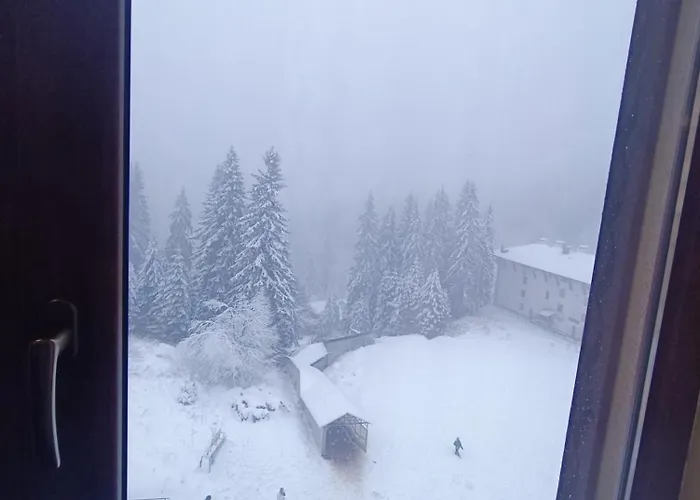 студио студенец